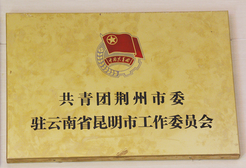 共青團(tuán)荊州市委駐云南省昆明市工作委員會(huì)