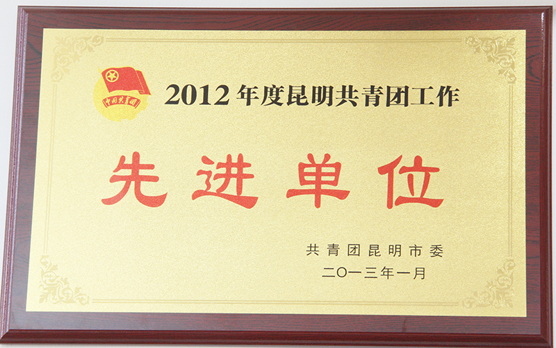 昆明市荊州商會(huì)2012年被共青團(tuán)昆明市委評(píng)為先進(jìn)單位