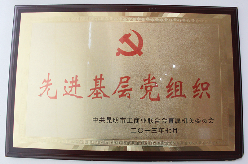 昆明市荊州商會(huì)黨支部2013年被評(píng)為先進(jìn)基層黨組織