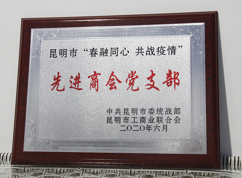 昆明市荊州商會(huì)黨支部被評(píng)為先進(jìn)商會(huì)黨組織